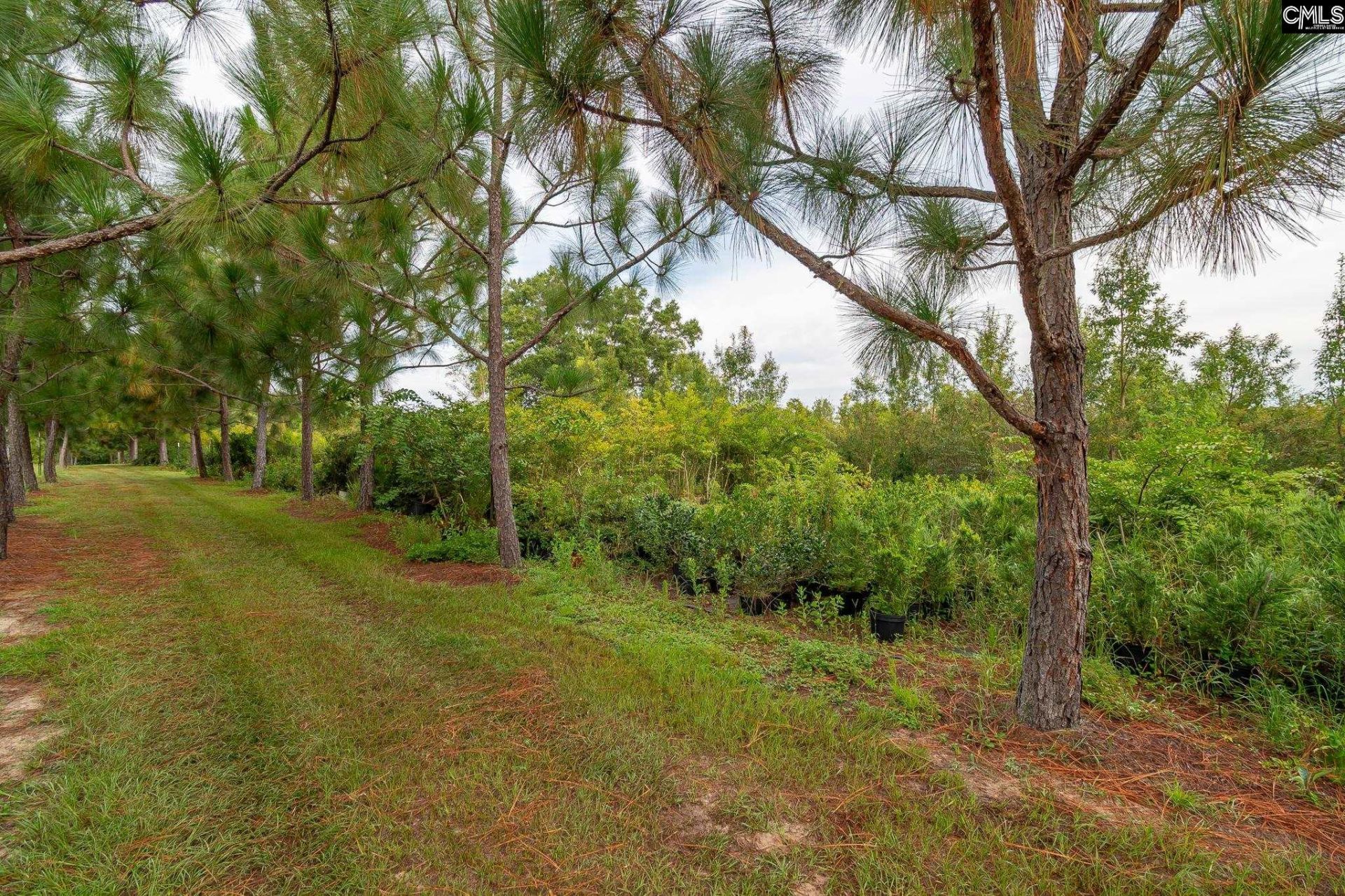 4594 Timrod Road  Photo 32