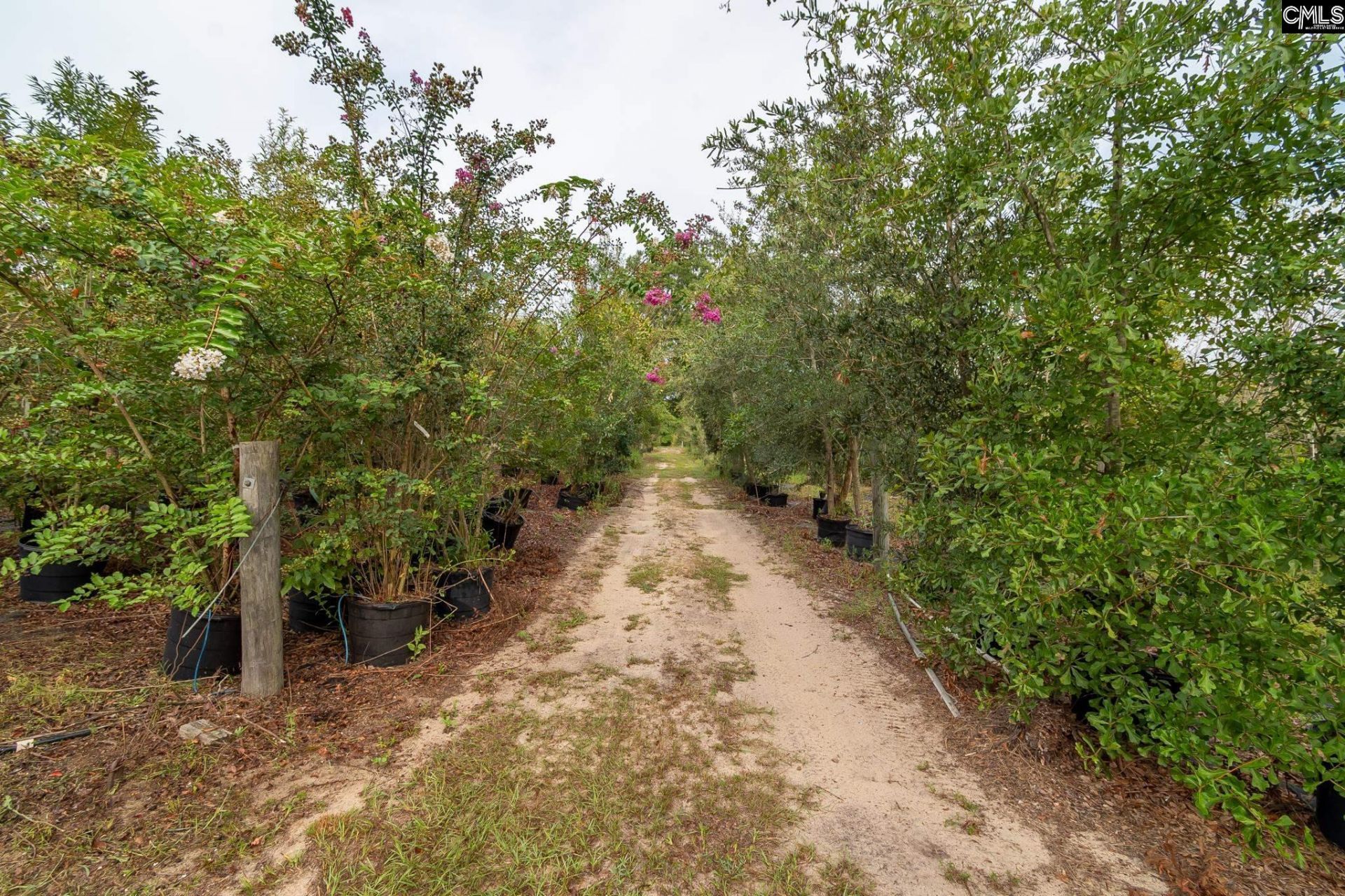 4594 Timrod Road  Photo 34