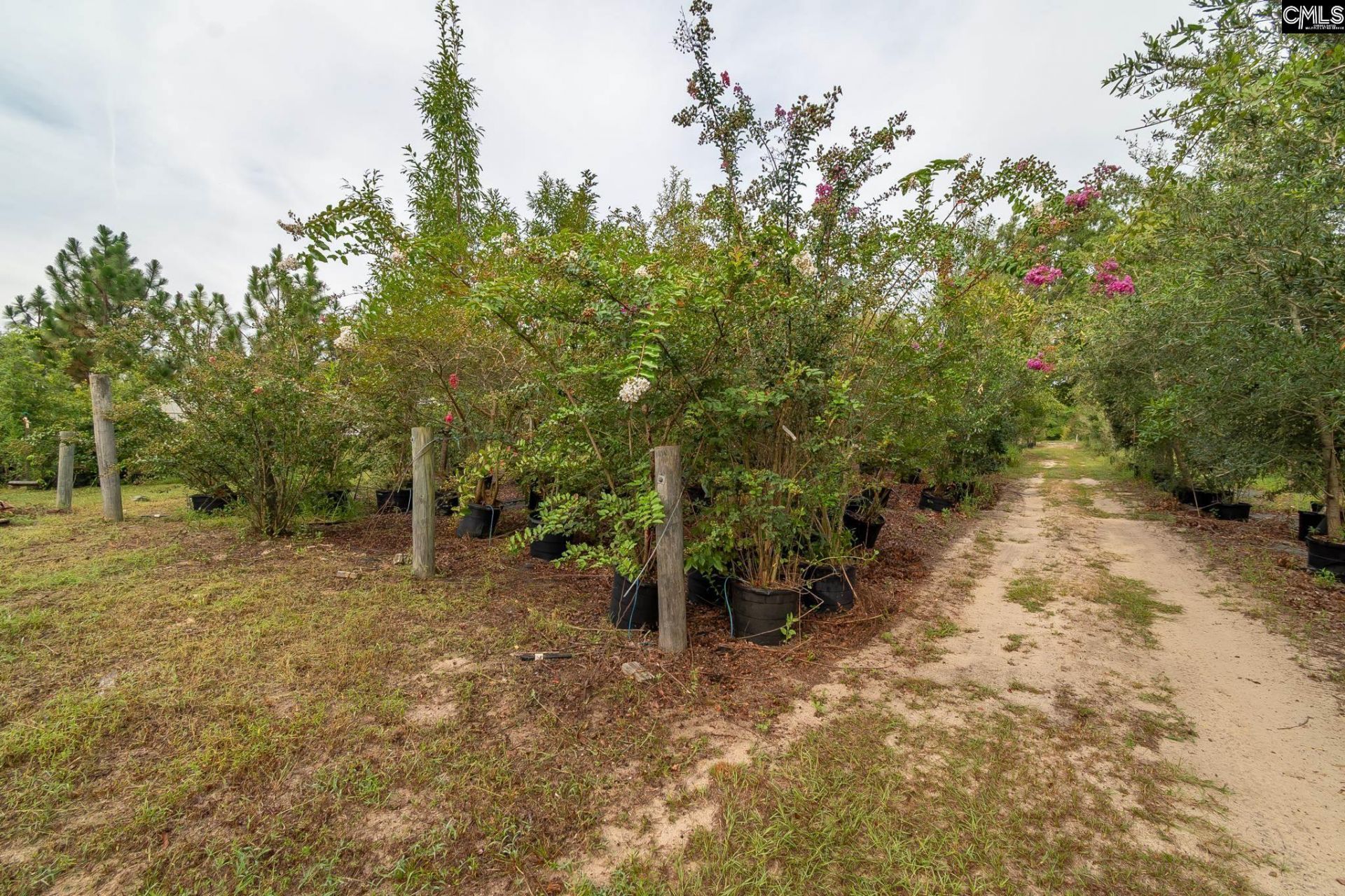 4594 Timrod Road  Photo 35