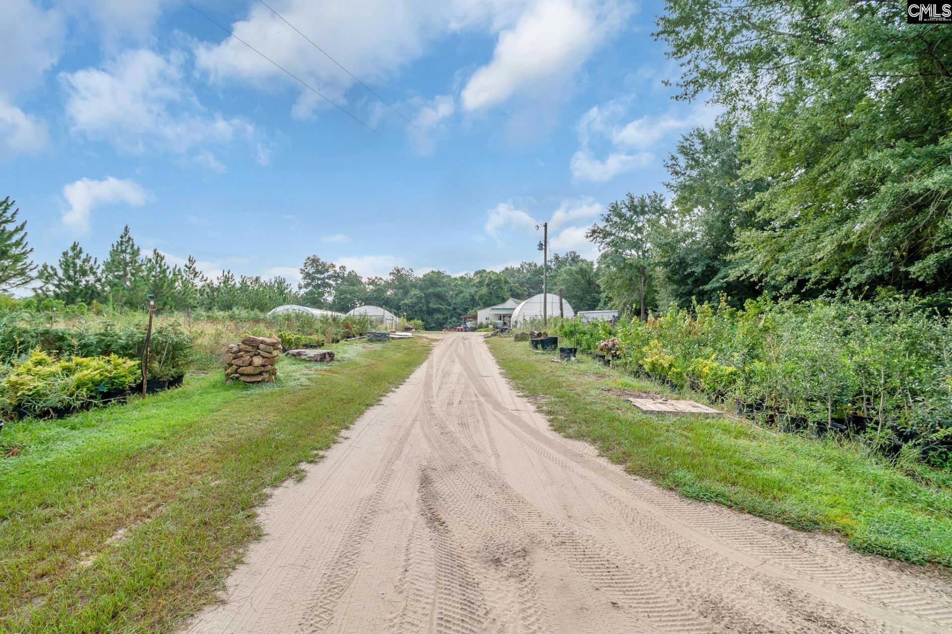 4594 Timrod Road  Photo 38