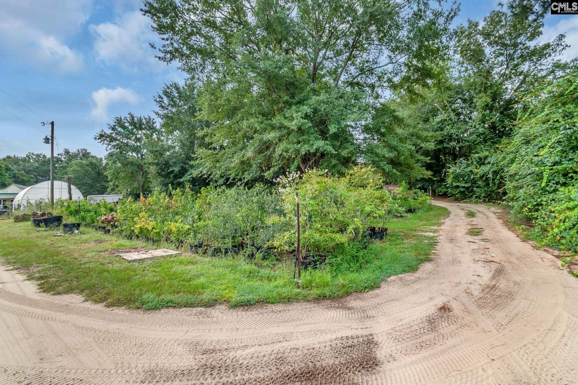 4594 Timrod Road  Photo 39