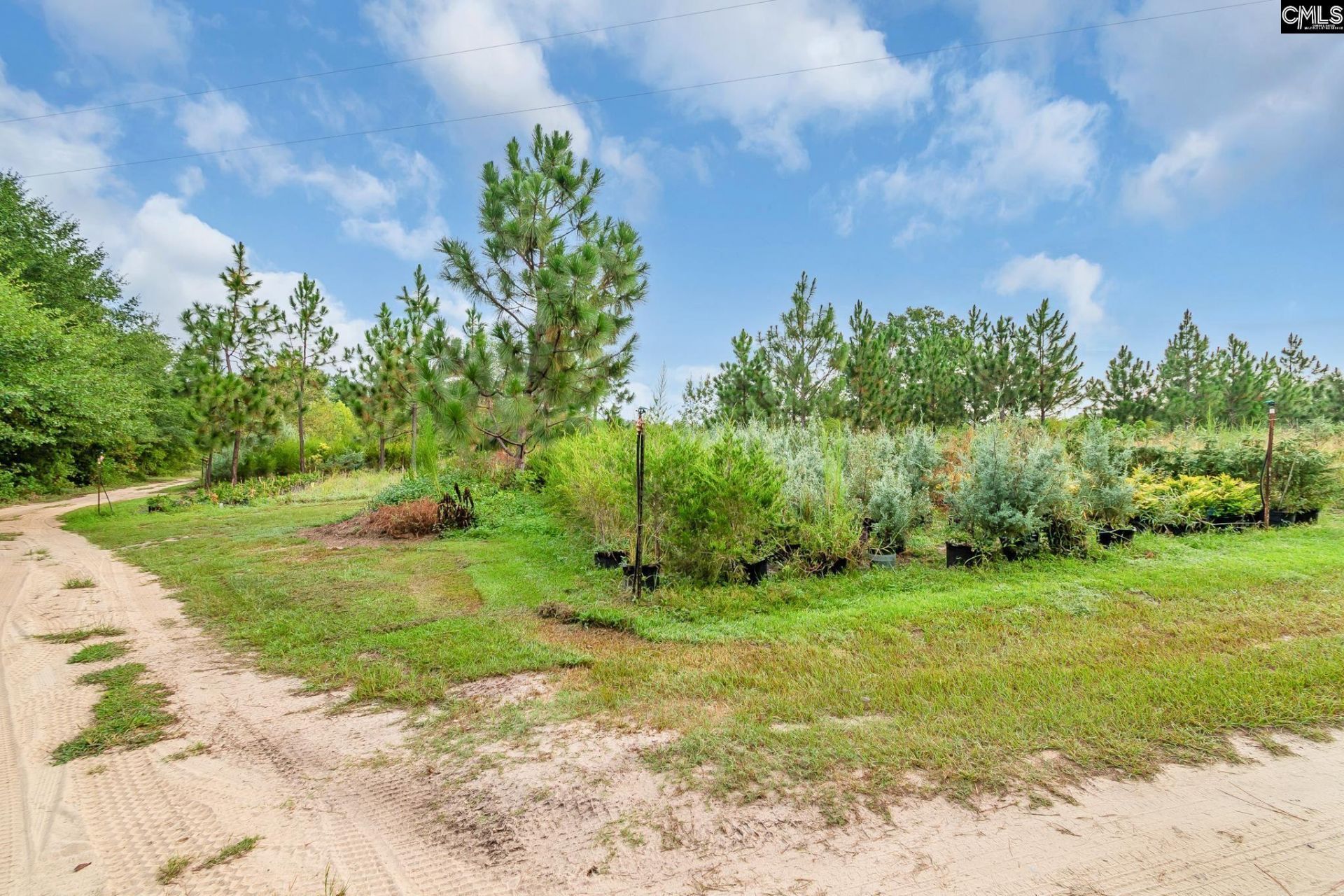 4594 Timrod Road  Photo 40