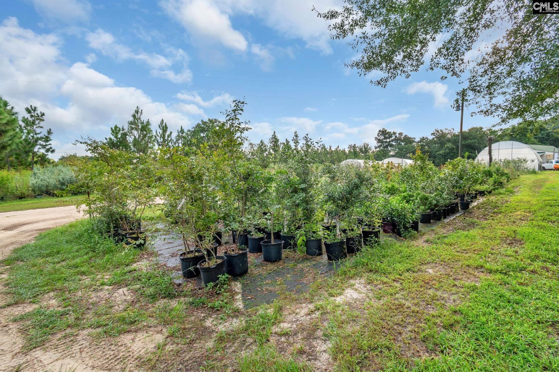 4594 Timrod Road  Photo 42
