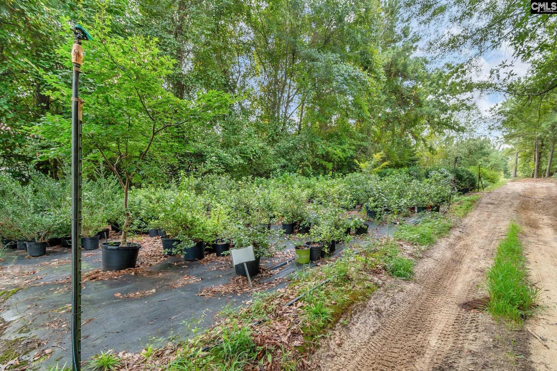 4594 Timrod Road  Photo 43