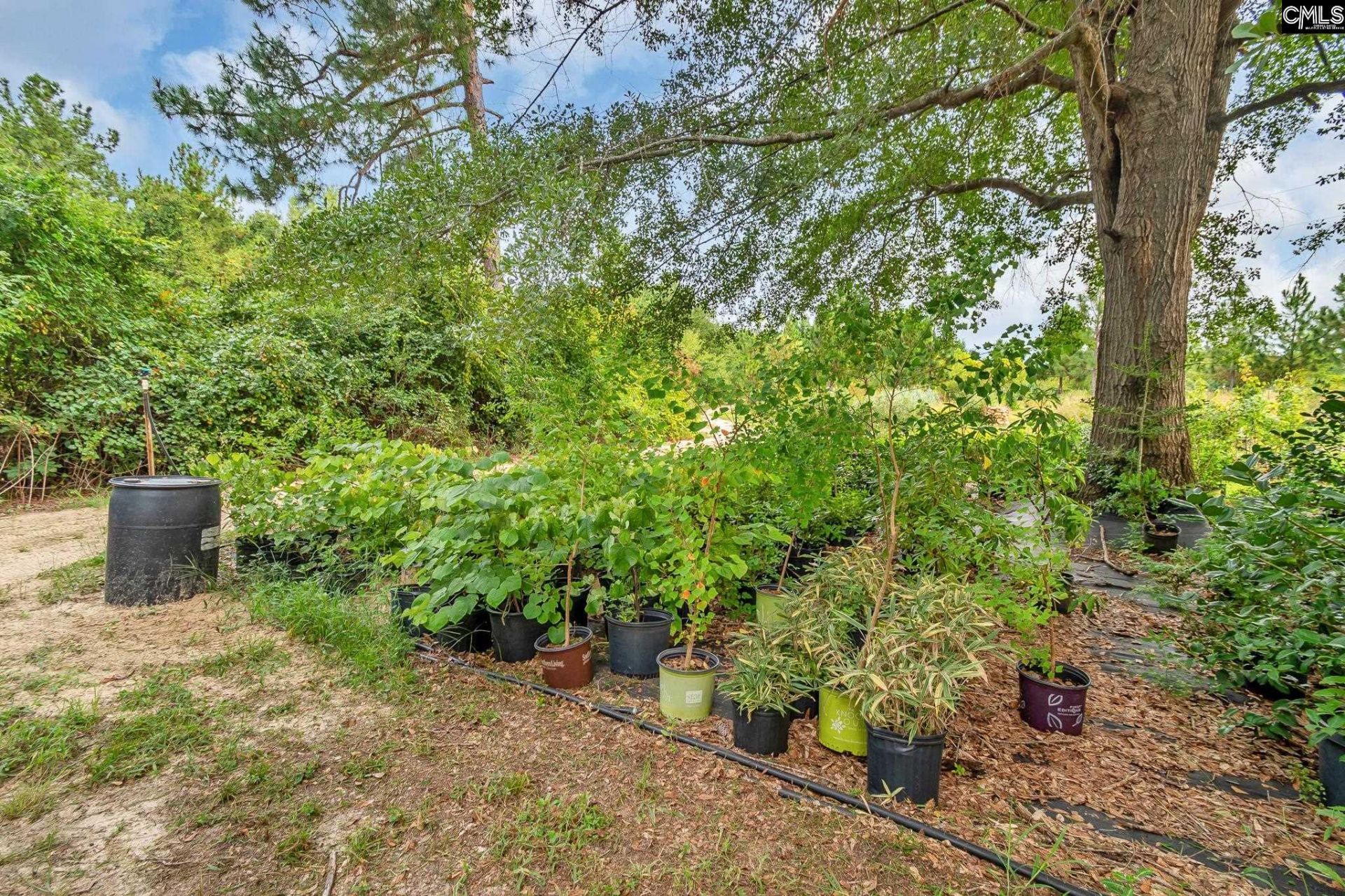 4594 Timrod Road  Photo 44