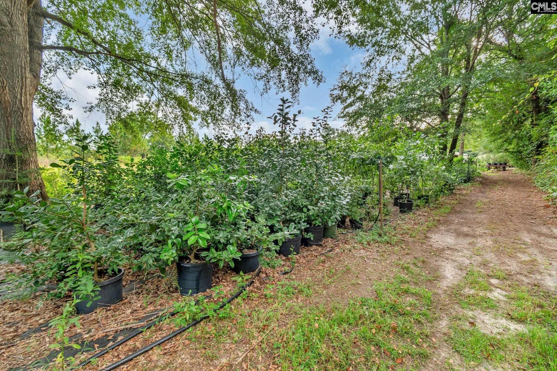 4594 Timrod Road  Photo 45