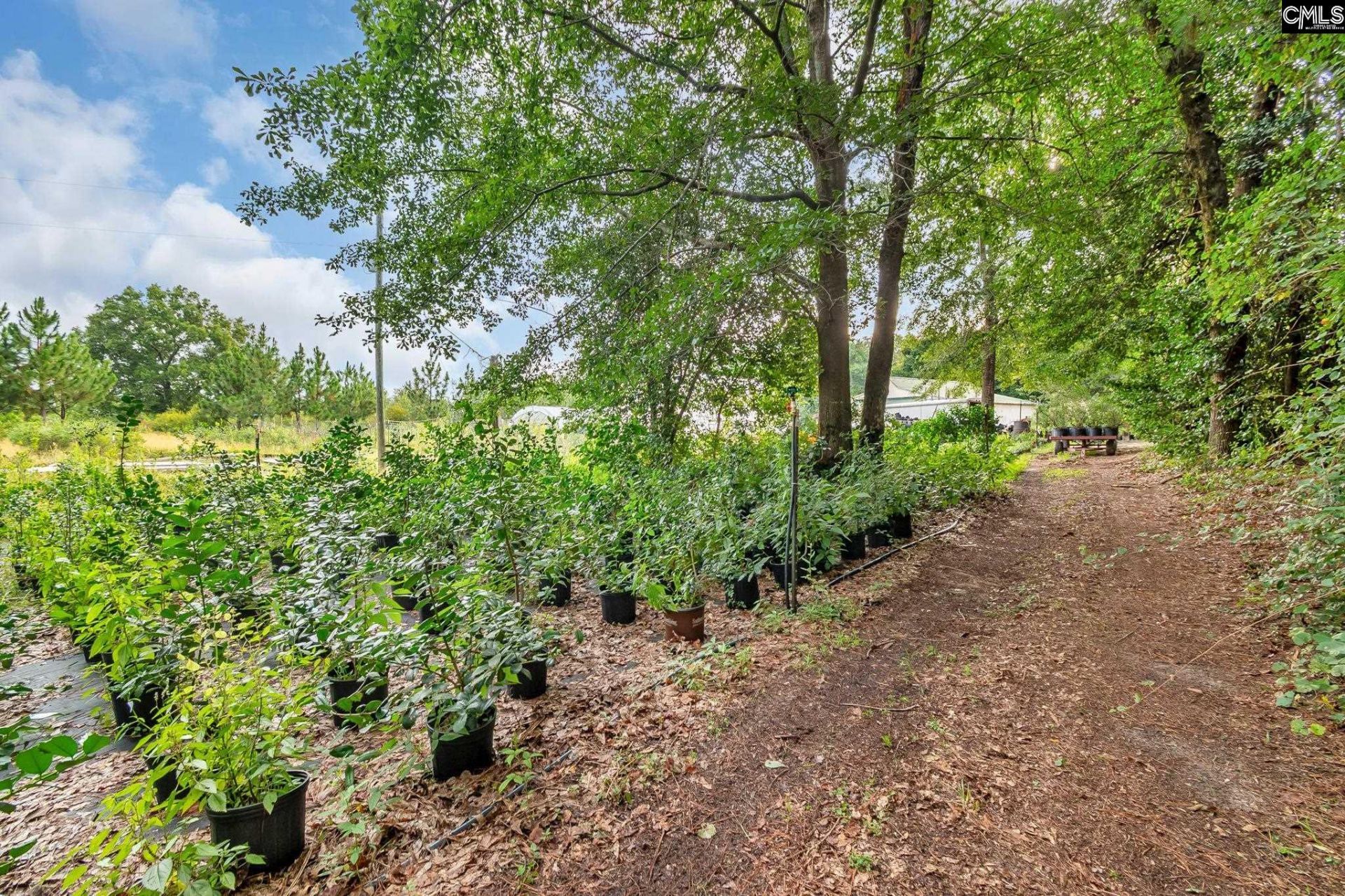 4594 Timrod Road  Photo 46