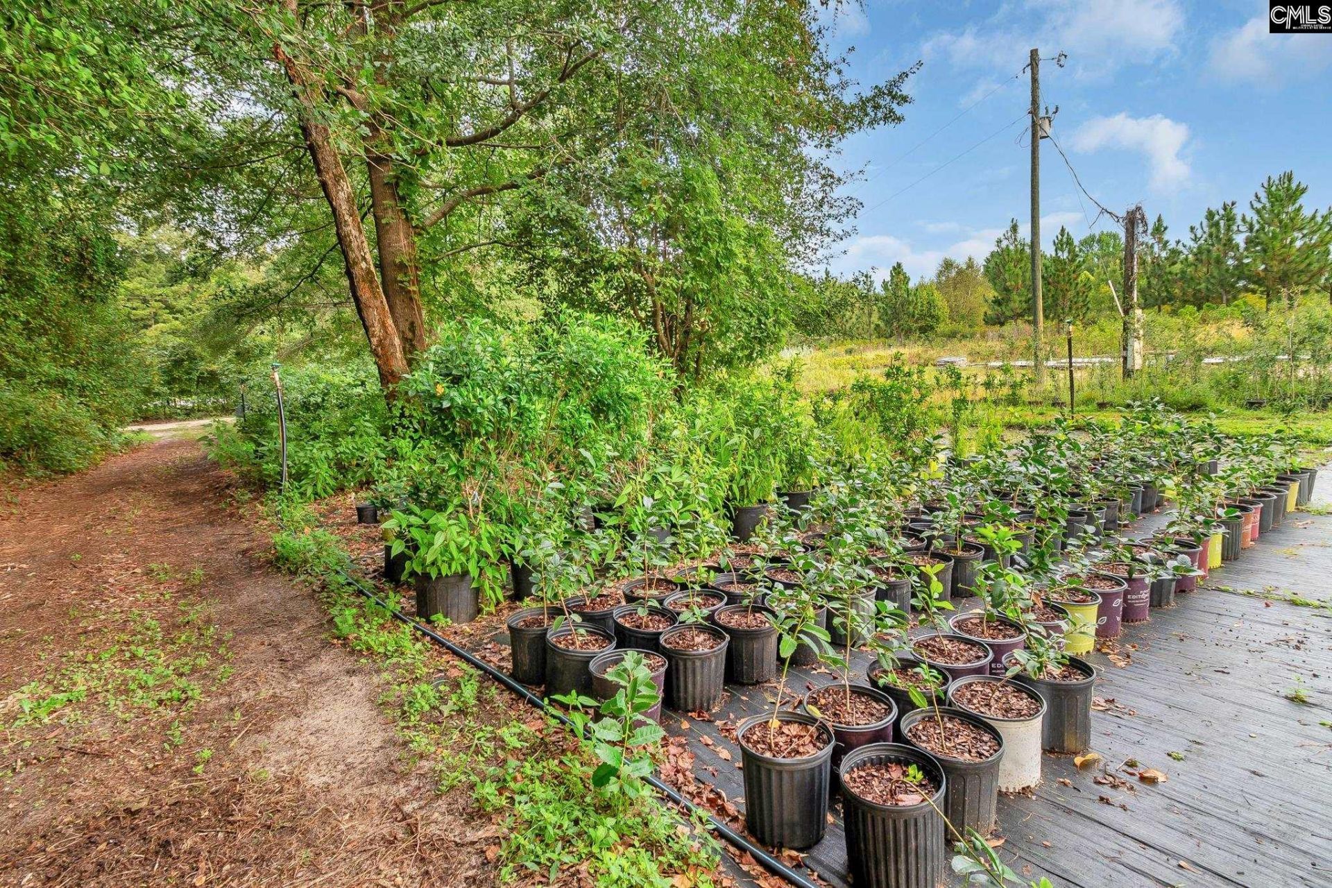 4594 Timrod Road  Photo 48