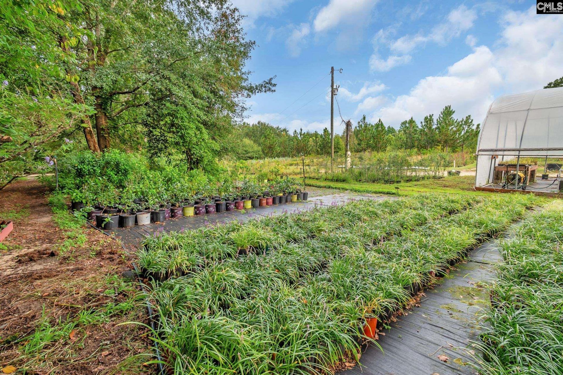 4594 Timrod Road  Photo 49