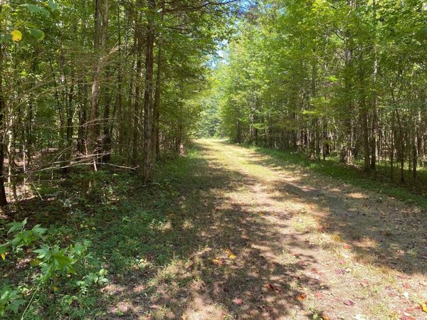 OAK GROVE LN, Henderson, TN 38340
