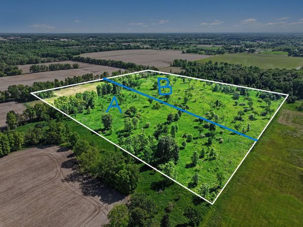 0 V/L E Charles Road, Unit Parcel A, Ionia, MI 48846