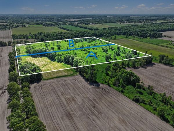 0 V/L E Charles Road, Unit Parcel B, Ionia, MI 48846
