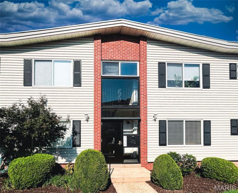 111 E Washington Avenue, Unit 1N, Saint Louis, MO 63122 Main Photo