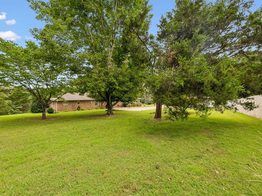 Property Image 59