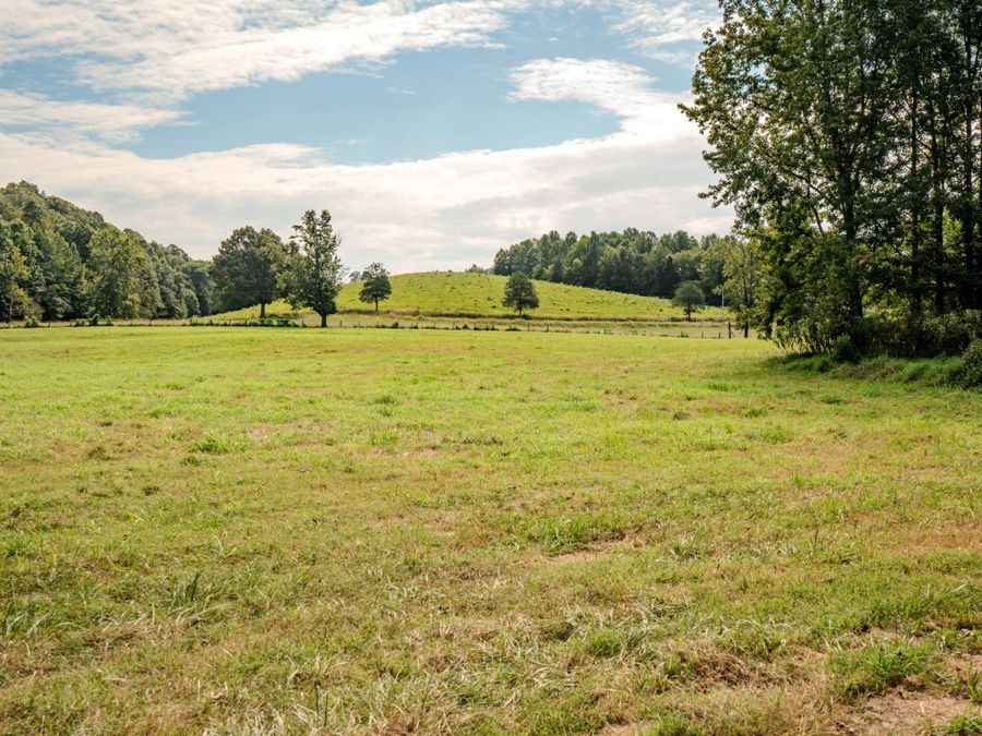 Property Image 62