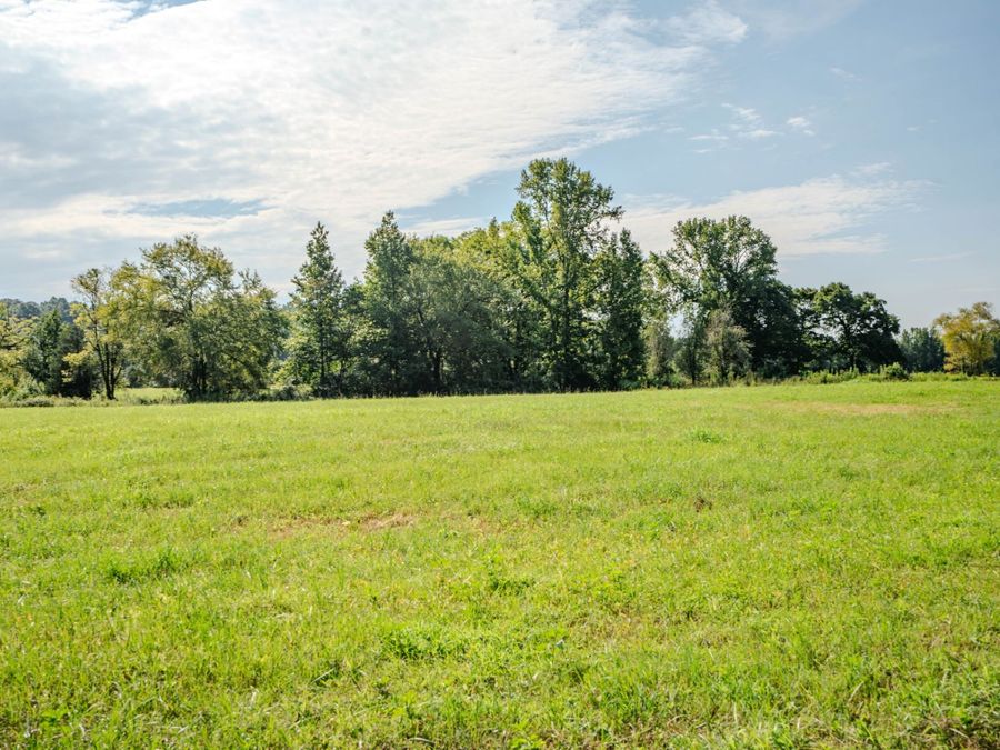 Property Image 65