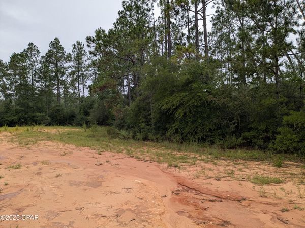 0 Deshutes Drive , Alford, FL 32420