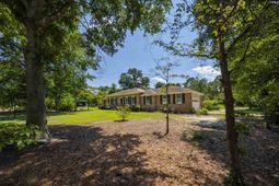 1301 Sand Oak Drive  photo 4