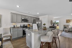 116 New Spring Way photo 4