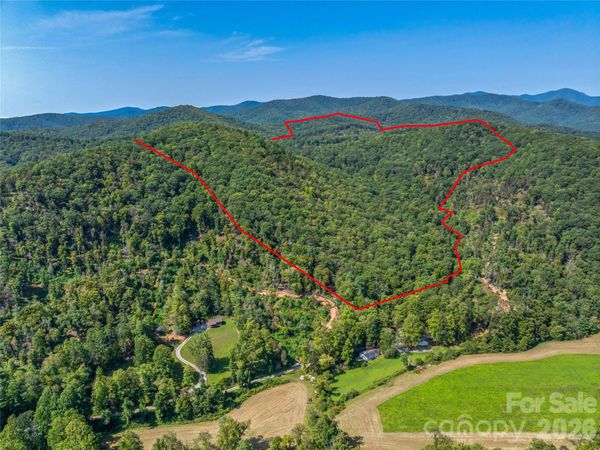 567 Davey Branch Road , Horse Shoe, NC 28742