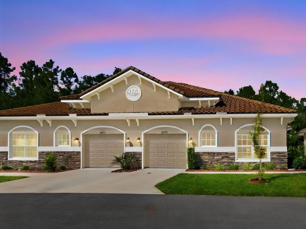 29817 ANAND VIHAR DRIVE, WESLEY CHAPEL, FL 33543