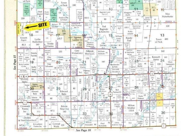 20 Acres S RANGELINE ROAD, Deerbrook, WI 54424