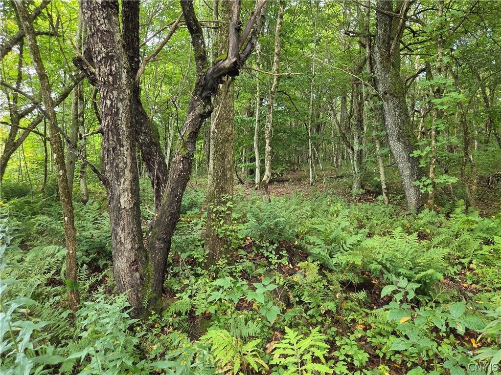 Sweeney/seelman Truck Trail Road, Constableville, NY 13325 Main Photo