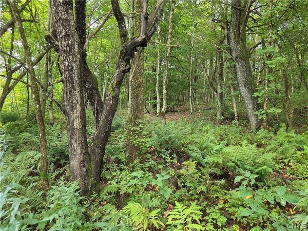 Sweeney/Seelman Truck Trail Road , Constableville, NY 13325