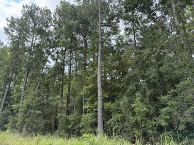 0 Charleston Highway, Orangeburg, SC 29115
