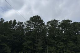 0 Charleston Highway photo 4