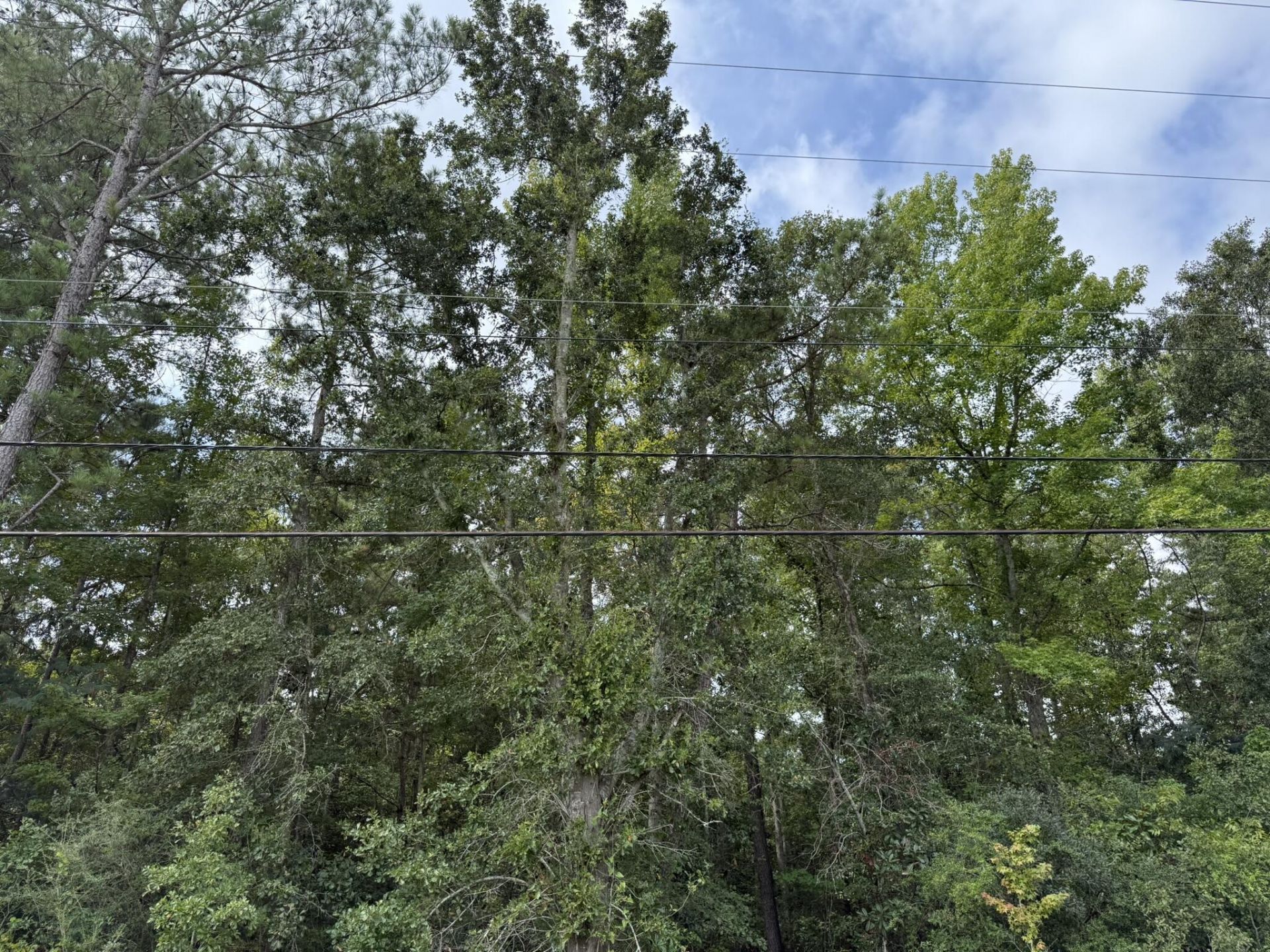 0 Charleston Highway Photo 6