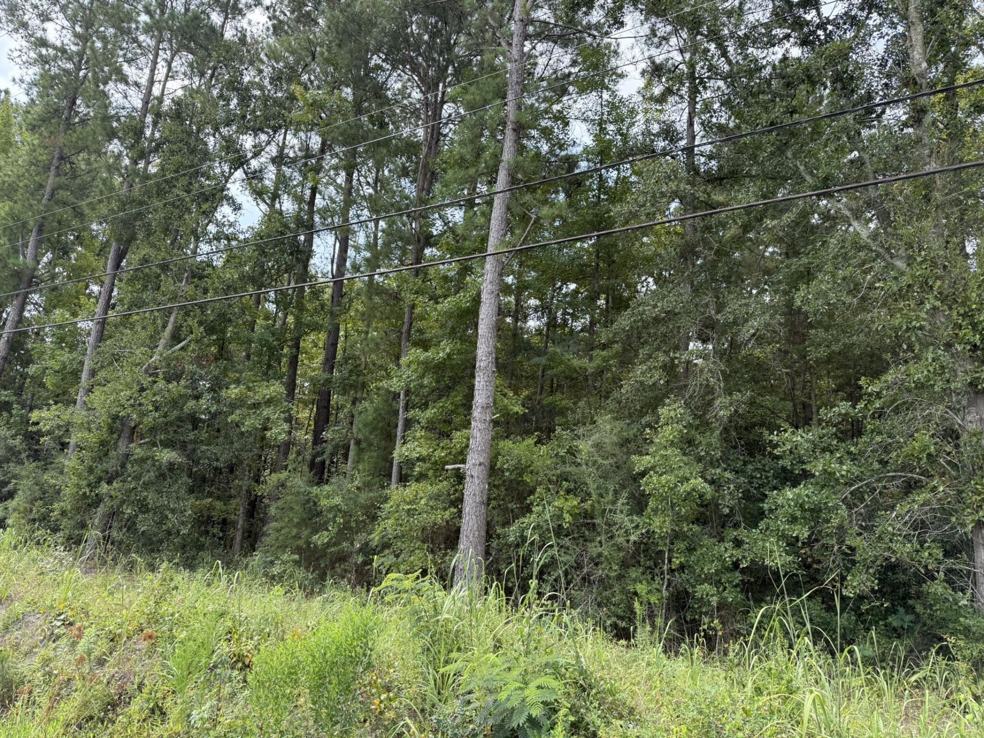 0 Charleston Highway Photo 8