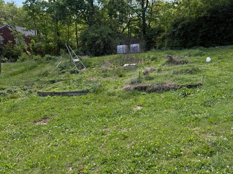 3111 Bracken Woods Lane, Cincinnati, OH 45211 Photo 2