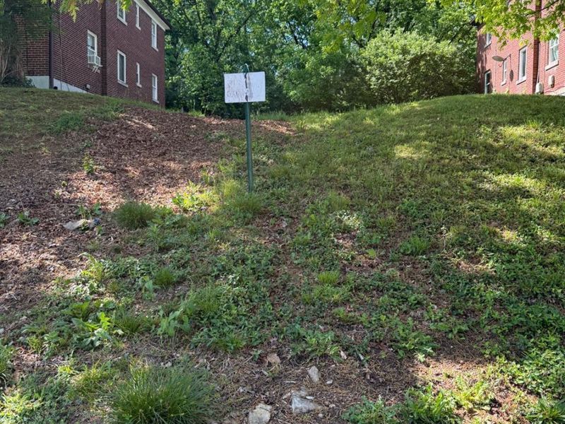 3143 Bracken Woods Lane, Cincinnati, OH 45211 Photo 3