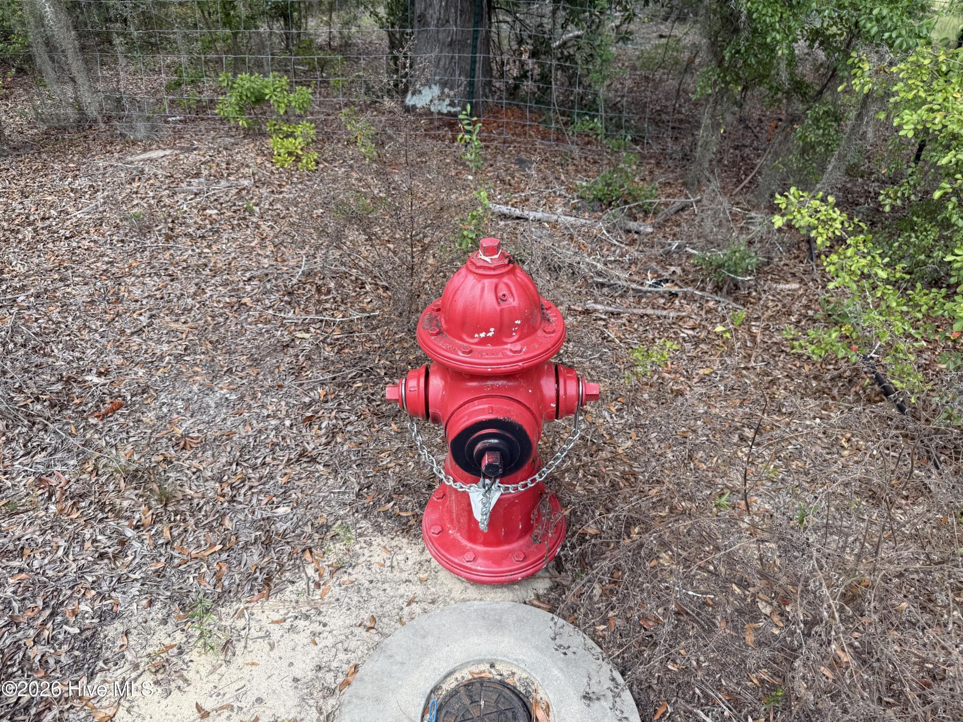 324 Goodman Road Photo 11