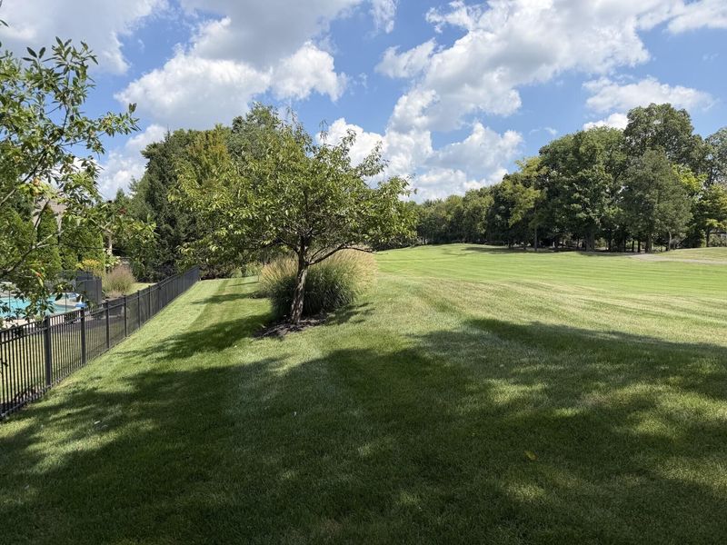 10725 Meadow Stable Lane, Union, KY 41091 Photo 47