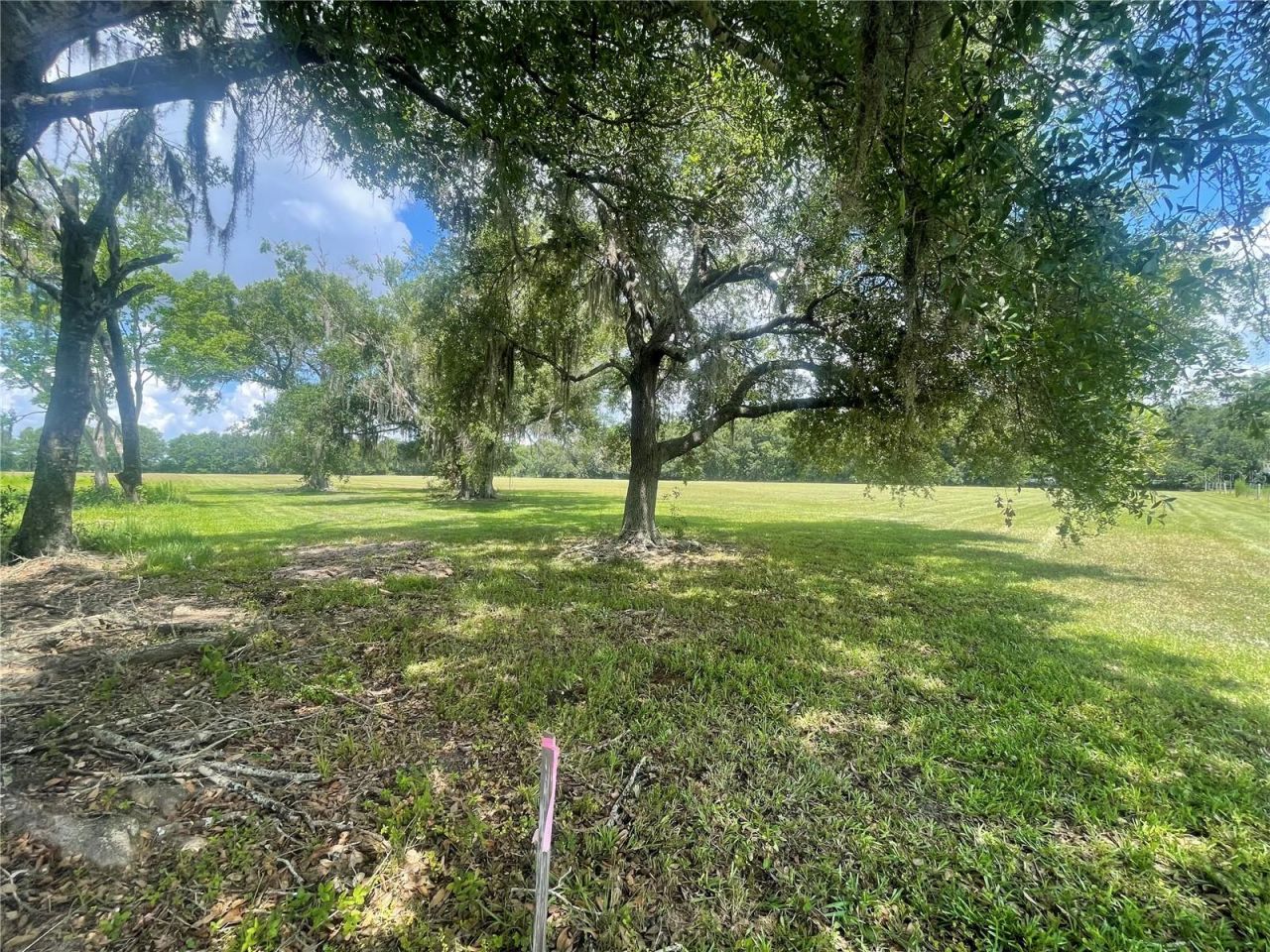 N/a , Bunnell, FL 32110 Photo