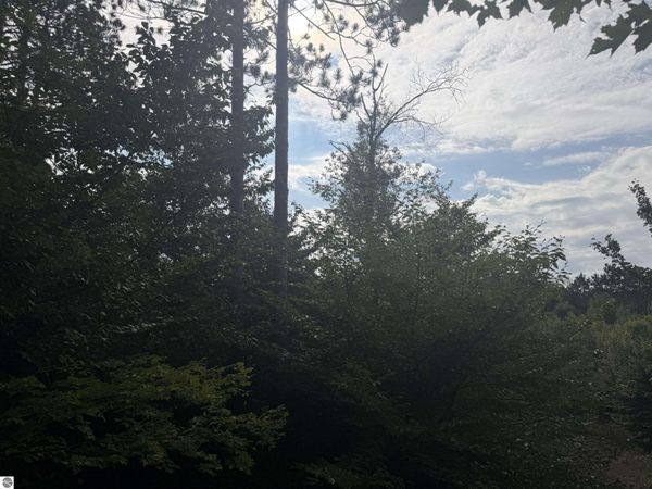 King Road, Benzonia, MI 49616