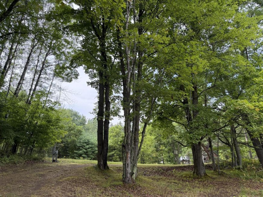 Main Photo