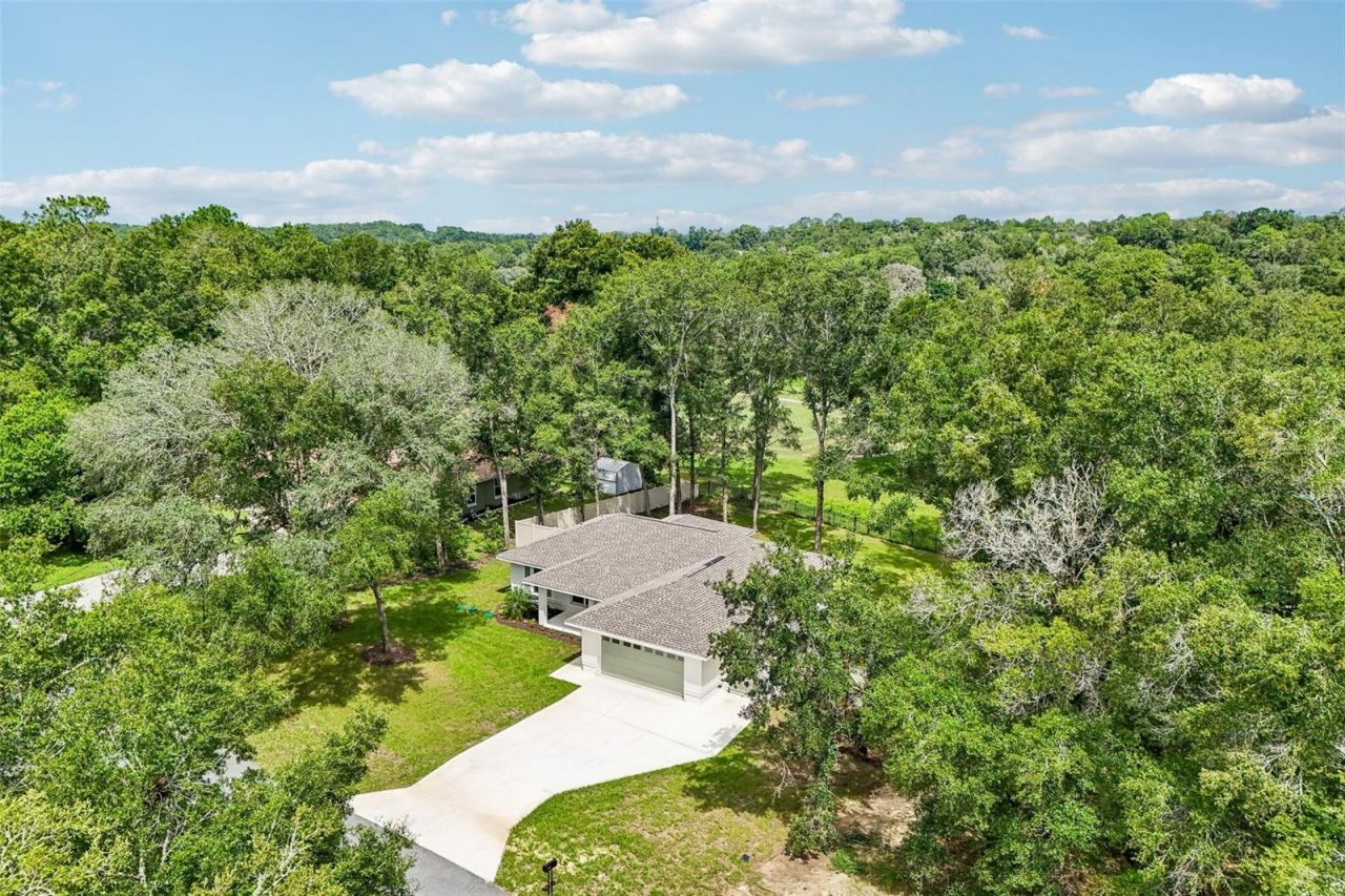 1911 W Golfcart Lane, Citrus Springs, FL 34434 Photo