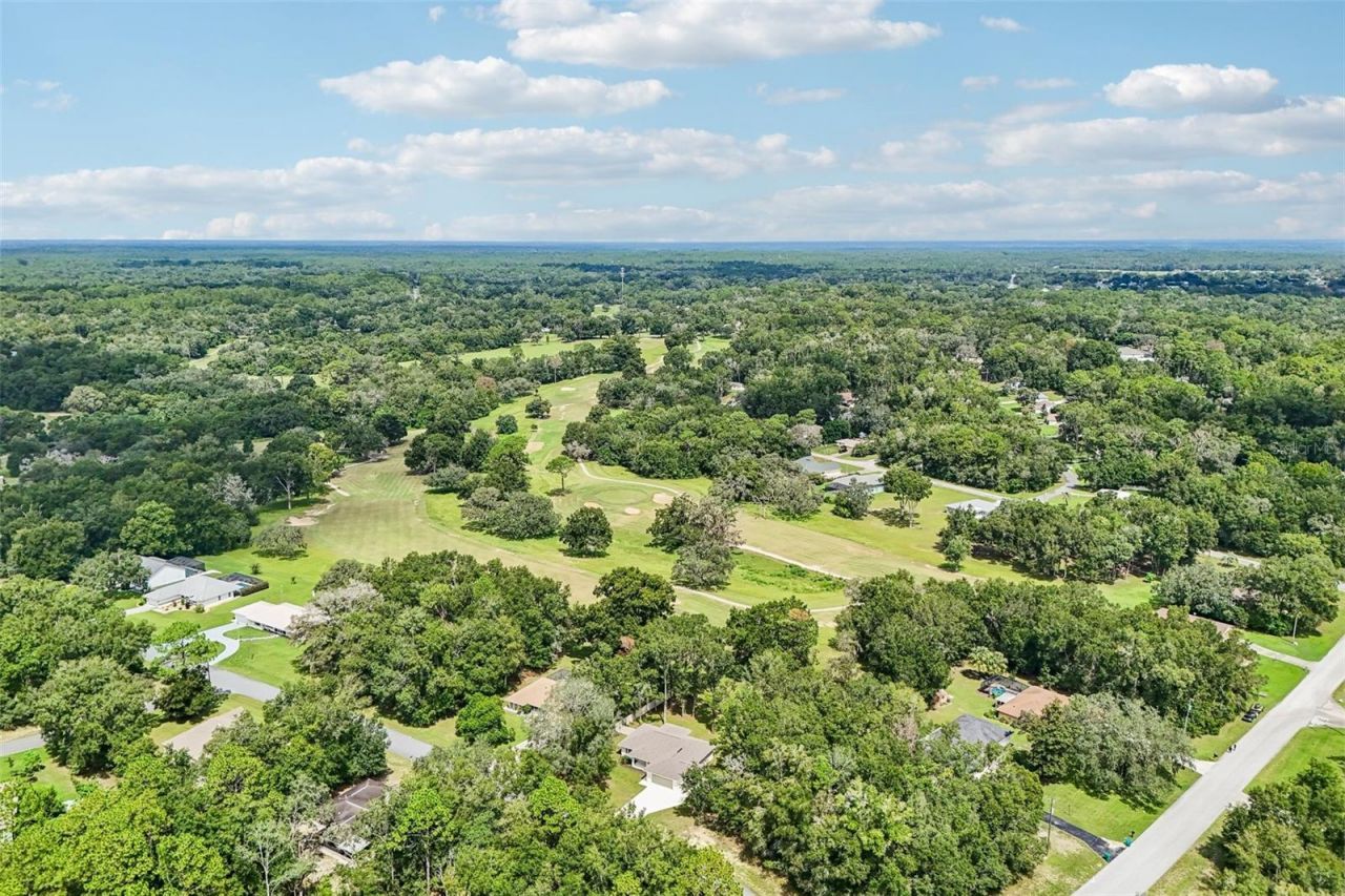 1911 W Golfcart Lane, Citrus Springs, FL 34434 Photo