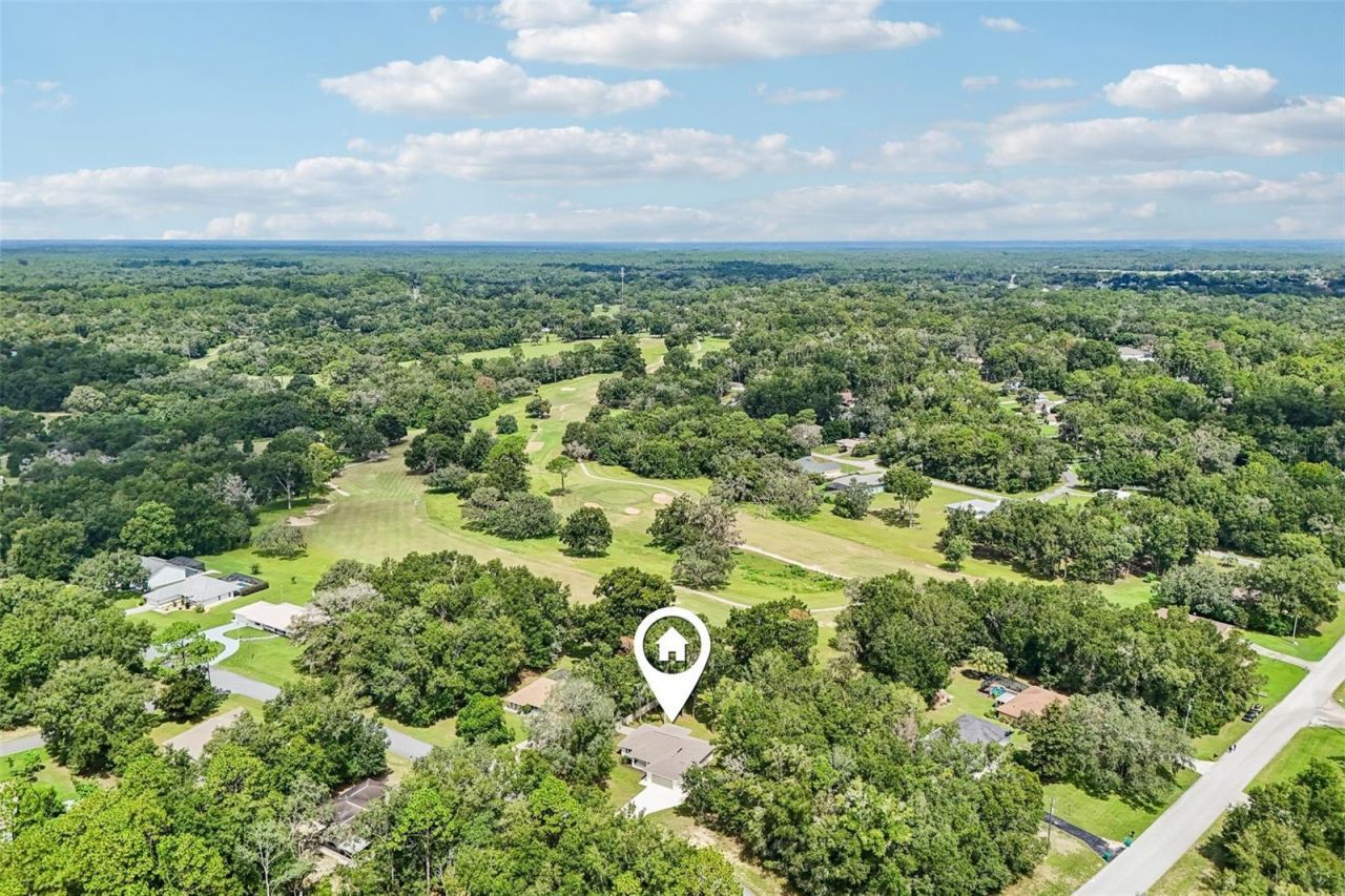 1911 W Golfcart Lane, Citrus Springs, FL 34434 Photo