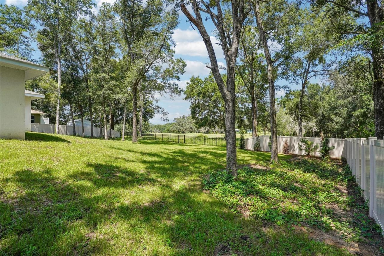 1911 W Golfcart Lane, Citrus Springs, FL 34434 Photo