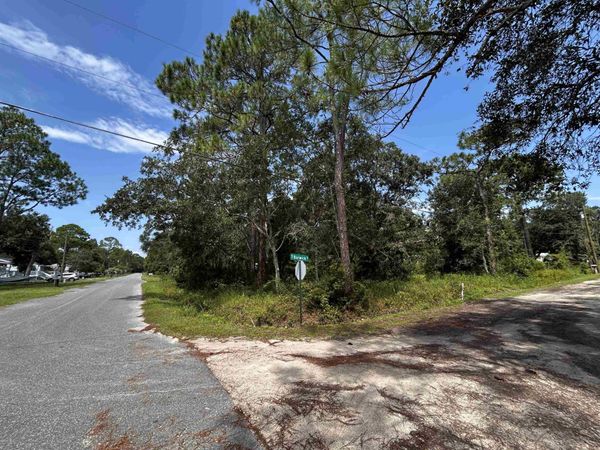 xx Dickson Bay Road , Panacea, FL 32346