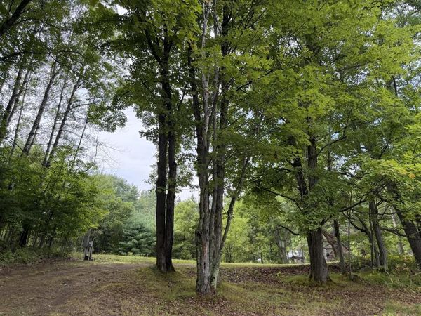 N14863 LANFEAR ROAD, Amberg, WI 54102