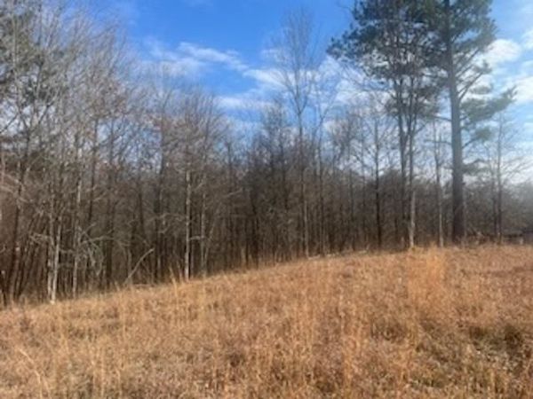 0 S RED BANKS RD, Byhalia, MS 38611