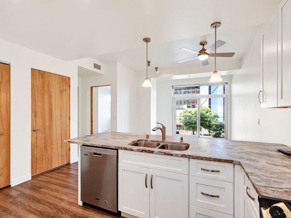 309 W Washington Avenue, Unit 203, Madison, WI 53703