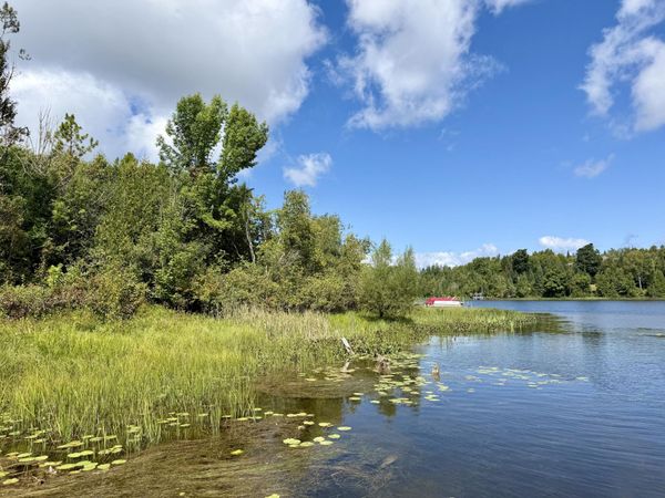 3181 Canton Drive, Cheboygan, MI 49721