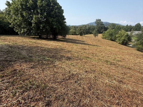 000 Ridgemont Lane, Ellijay, GA 30536