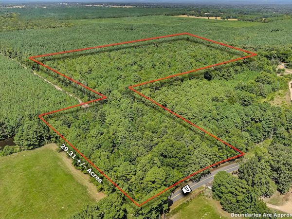 TBD 317 Highway , Lockesburg, AR 71846
